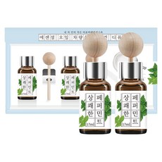 더허브샵 에센셜오일 차량용 디퓨저 17ml, 2개, 상쾌한 페퍼민트