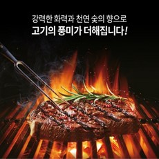 코스트코야자숯