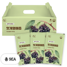 황금이네 헛개즙 100ml, 3L, 9개