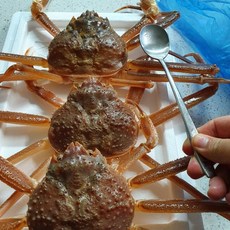 한손수산