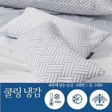 코지네스트 TOP01