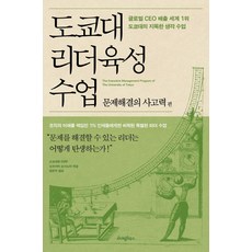도쿄대 리더육성 수업: 문제해결의 사고력 편:글로벌 CEO 배출 세계 1위 도쿄대의 지독한 생각 수업, 라이팅하우스