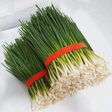 국내산 쪽파, 깐쪽파, 1단, 1kg