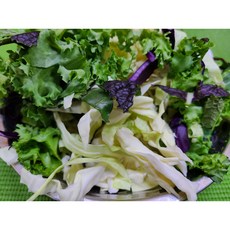 양배추와적채믹스