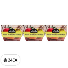 아넬라 첫시작 리얼 과일 디저트 세트, 망고, 200g, 24개