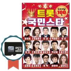 노래칩 SD카드 트로트국민스타 100곡-인기가요 임영웅