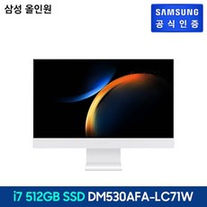 삼성 데스크탑 올인원 PC DM530AFA-LC71W, 상세페이지참조