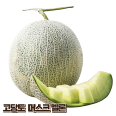 국내산 고당도 머스크 멜론 산지직송 신선한 달콤한 맛 메론 가정용 선물용, 1개, 5-6kg(3-4수)