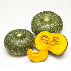 공영쇼핑밤호박