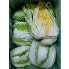 국산 산지직송 속노란 90일 배추 해남 절임배추 40kg 100% 국내산 최상의 배추 선별 철저한 위생과 청결, 11월 20일(수) 도착, 1개