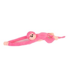털없는원숭이