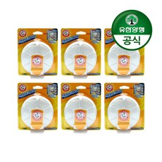 암앤해머 후릿지후레쉬 냉장고 탈취제, 6개