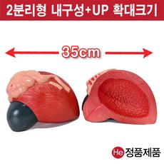 셀프손발모형