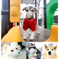 소형견 대형견 입마개 강아지 짖음방지 안전 산책용품, 3개, 100g