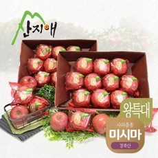 산지애 씻어나온 꿀사과 4kg 2box 왕특대과 미시마, 단품