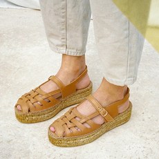 나귀사딸리스허니