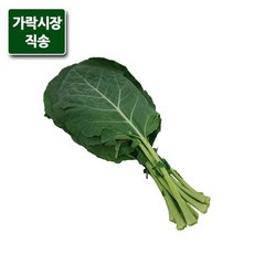 쥬스용케일