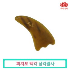 시모먼트괄사