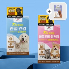일동펫 강아지 관절건강+체중조절 프로바이오틱스 비오비타펫 영양제 2개 세트, 관절건강+체중조절+피부피모 증정