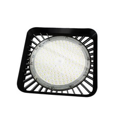 햇빛아래식물등