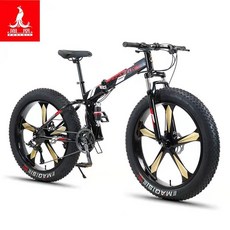 아메리칸이글자전거