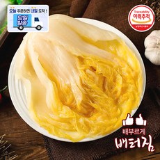 (당일출돼지) 중국산 배추 추이화 쏸차이 절임배추, 500g, 6개