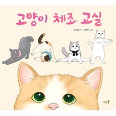 [바우솔][빅북] 고양이 체조 교실 - 바우솔 빅북, 바우솔