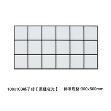 100×300백색무광타일