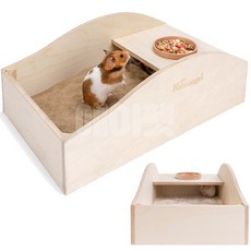 나이트엔젤모래존