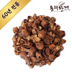 아가리쿠스버섯책