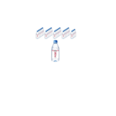 에비앙 생수, 315ml, 48개