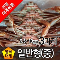 영덕대게 일반형 중(9.5cm~10cm) 3마리, 찜배송, 단일상품