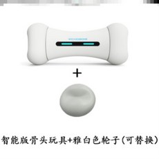 반려동물펫푸드스타일리스트