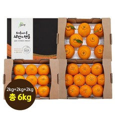 [산지애]제주 햇 레드향 천혜향 한라봉 세트(각 2kg 총 6kg), 단품