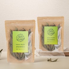 레몬머틀키우기