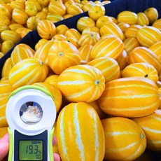 모픽 당도보장 진짜 성주 참외 꿀참외, 1박스, 가정용 소과, 5kg