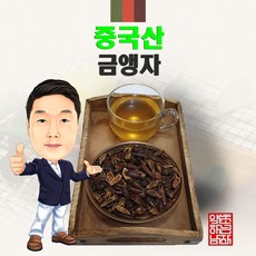 금앵자