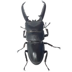 b5f1f1eb6bef7e2488060182230180bc2ac7d2a18fc7f0e8e8be758ceb19.jpg