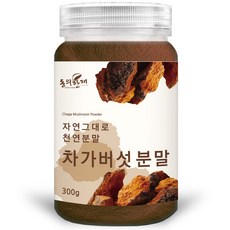 동의한재 최상품 러시아 차가버섯 분말 가루, 1개, 300g