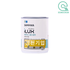 심화아이럭스자석페인트