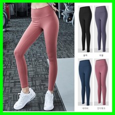 레깅스와이존