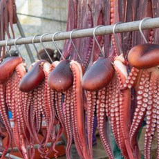 해녀단비 강원고성 자연산 손질 피문어 1kg, 1박스