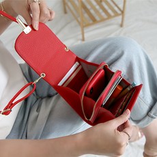 디올미니크로스백