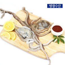 //상품명