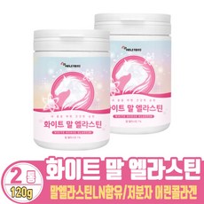 말 엘라스틴 3세대 저분자 콜라겐 먹는 엘라스틴 데스모신 이소데스모신 말유래 탄성단백질 분말 가루 파우더, 120g, 2개