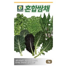 정직한형제들세탁기