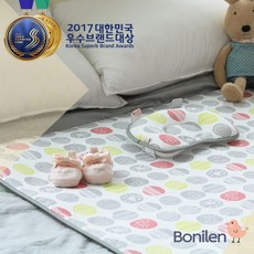 엘레니어윙스플러스
