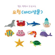 찍찍이교구