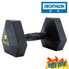 데카트론 육각 덤벨, 10kg, 1개