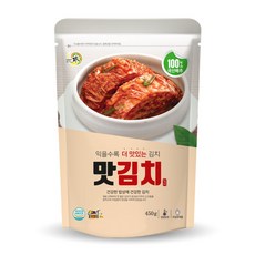 총알배송 일미 맛김치 국내산 배추, 450g, 10개